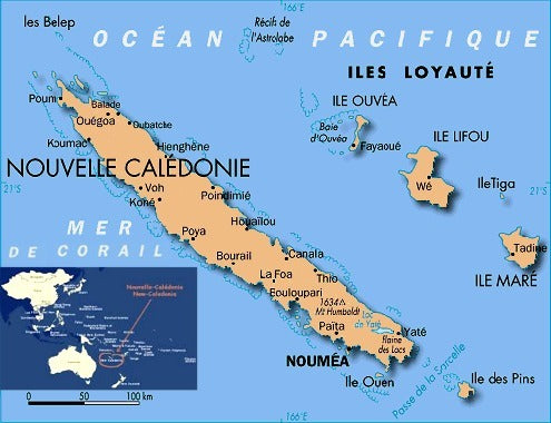 ELEC PLAISANCE becomes LD MARINE