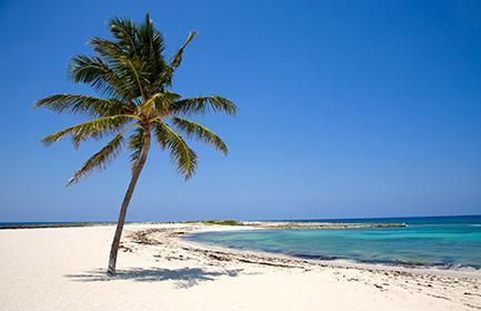 Winning combination of ultrafiltration and reverse osmosis